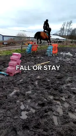 fall or stay?? 