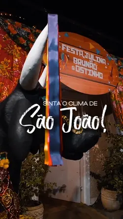 Festa de São João🐿️