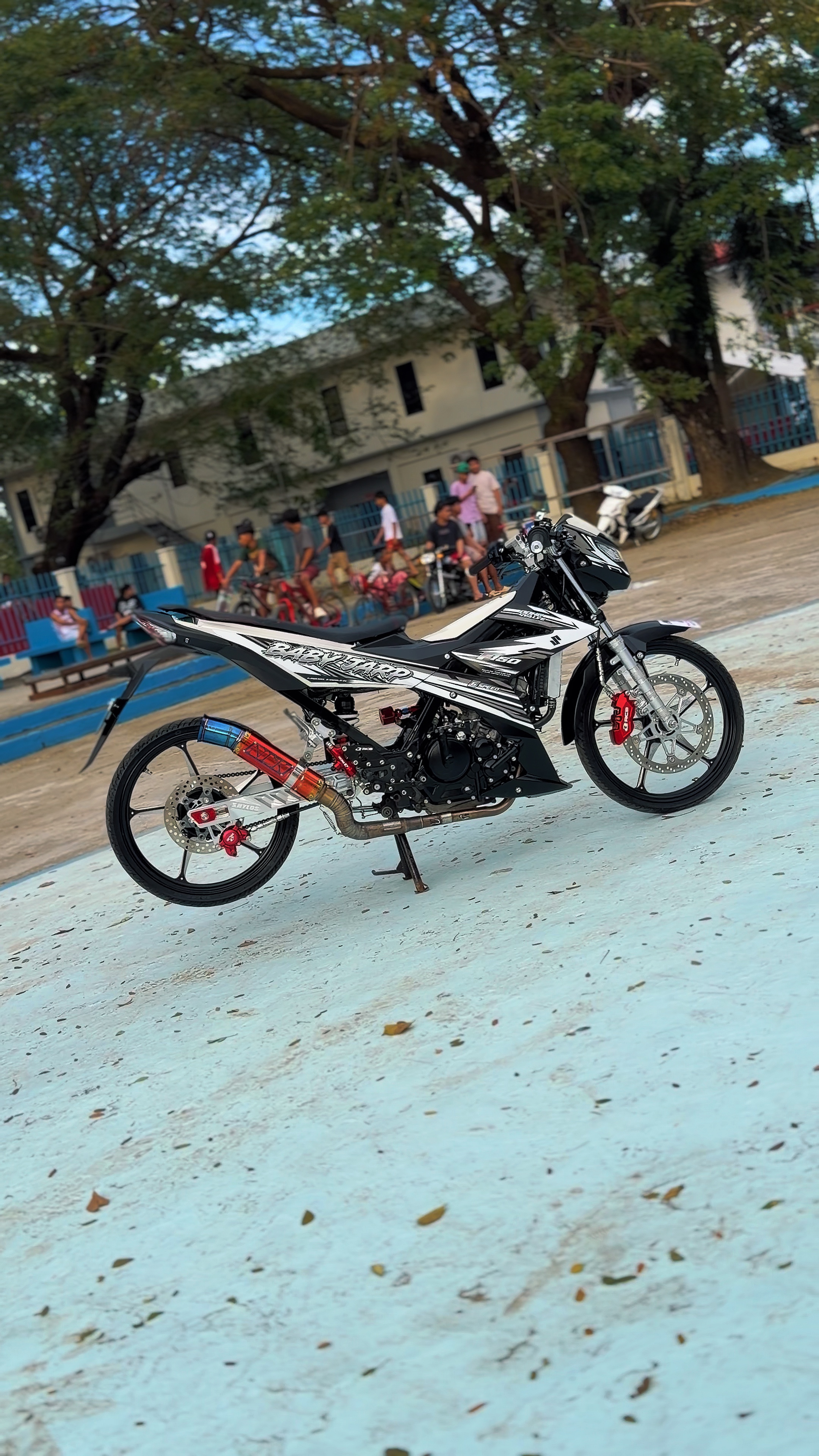 Cover Picture
