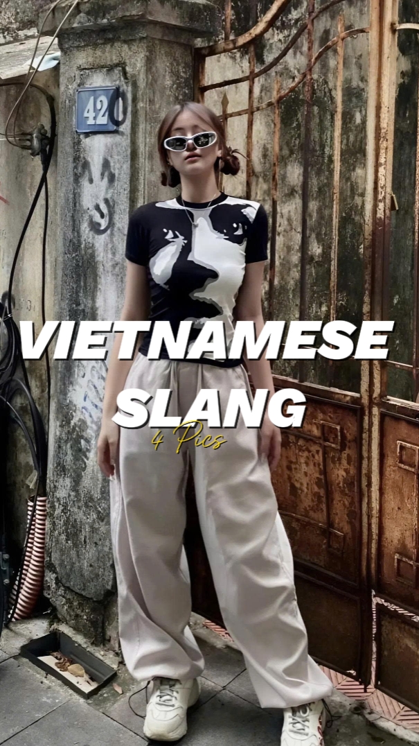 Vietnamese slang