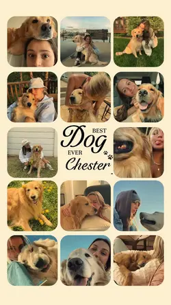 Best Dog ever