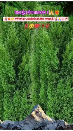 जय मा सरस्वती