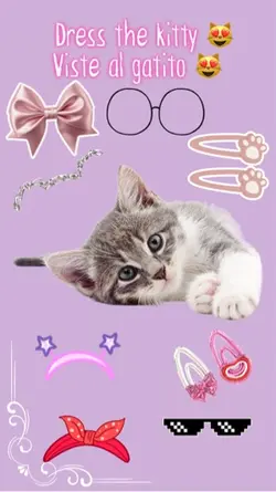 Dress the kitty 😻