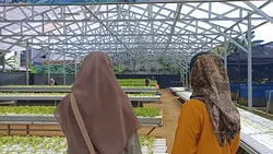 Kegiatan Survey 