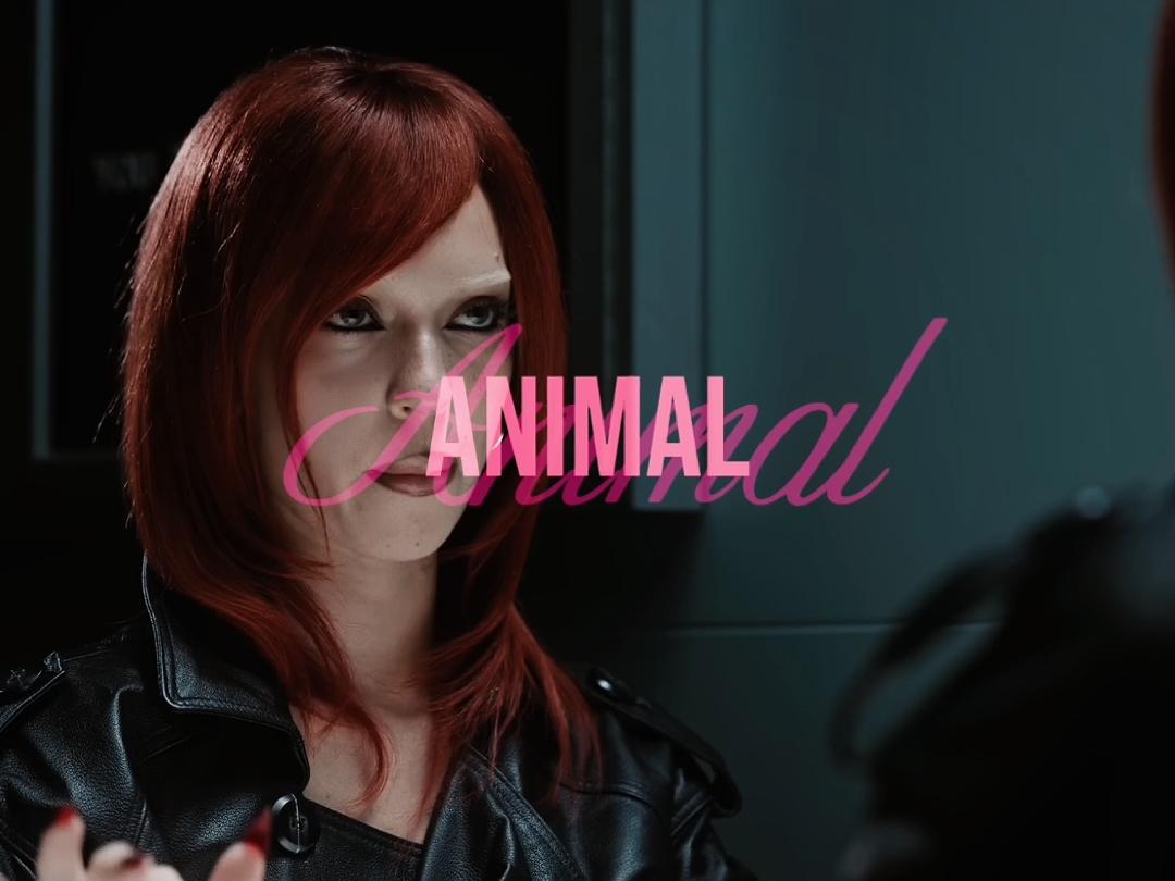 Animal - katseye