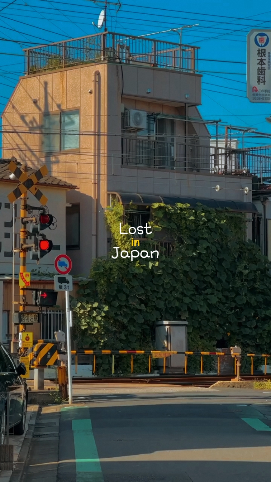 LOST IN JAPAN