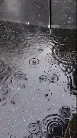 再見❤️
