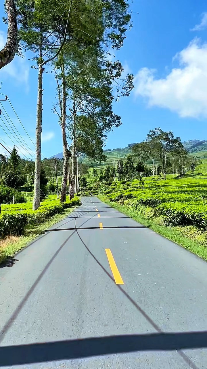 6 filter video hd