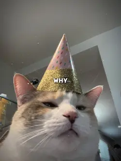 Say Đắm Trong Lần Đa