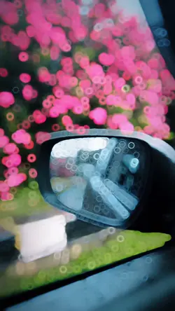 Slowmotion video 🌸✨