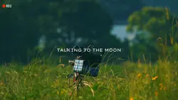 Chill nature