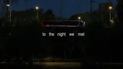 The Night We Met