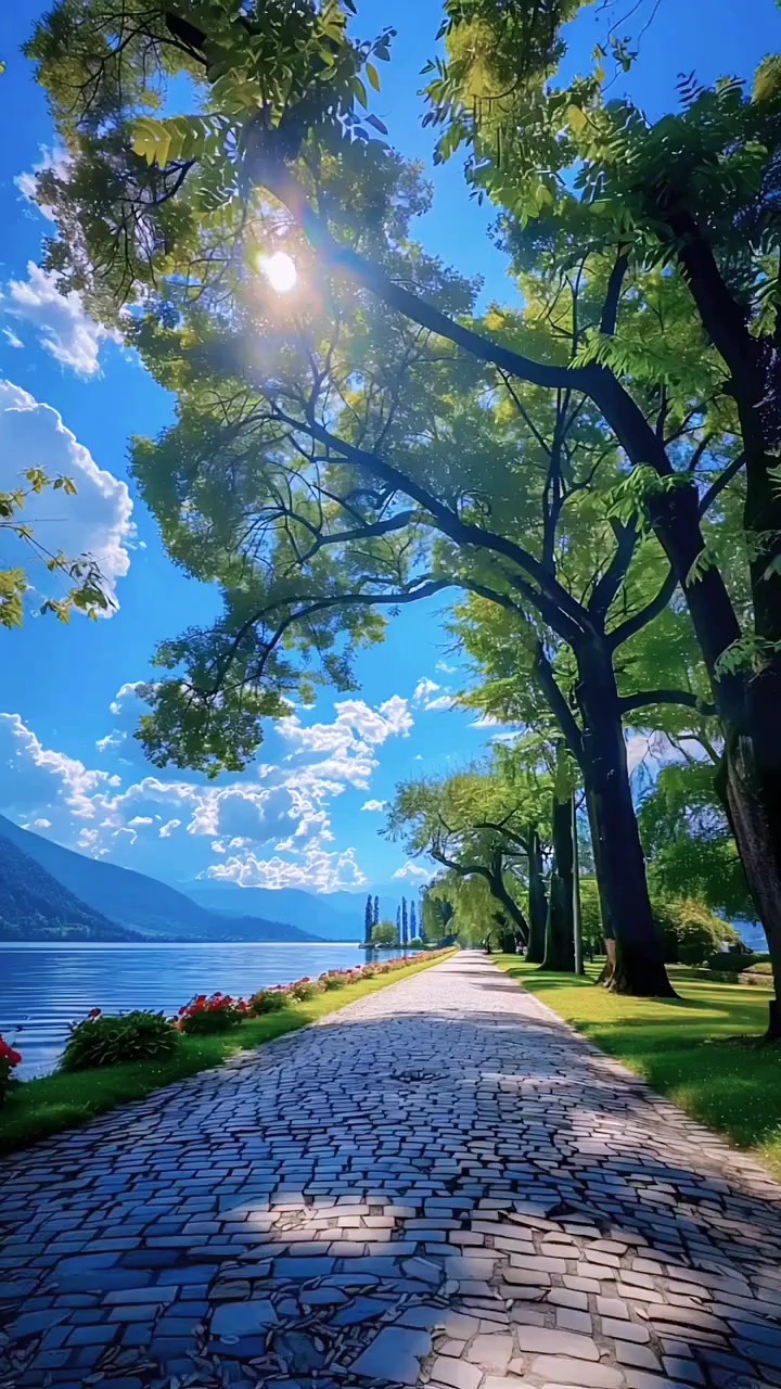 Vlogaesthetic