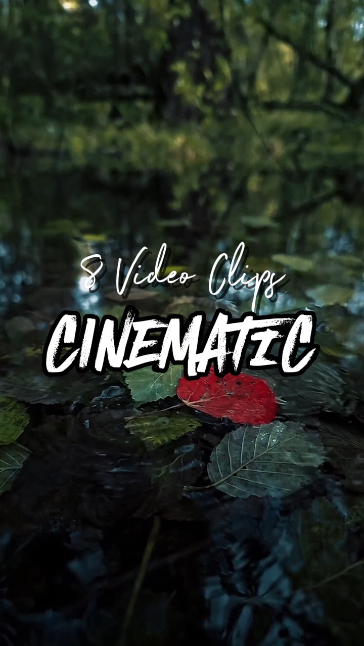 8 Videoclips 