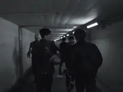 BTS