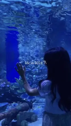 144 clip | 2024 dump