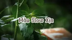 mẫu Slow 12video