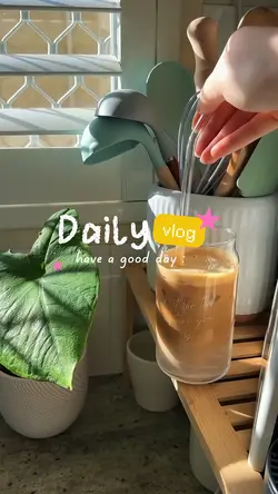 daily vlog