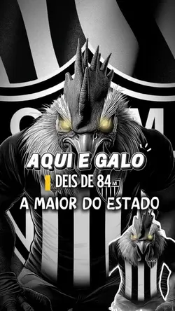 ATLÉTICO MINEIRO 🤍🖤