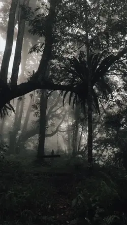 PencintaKabutDmnaKau