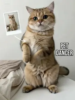 AI Pet Dancer