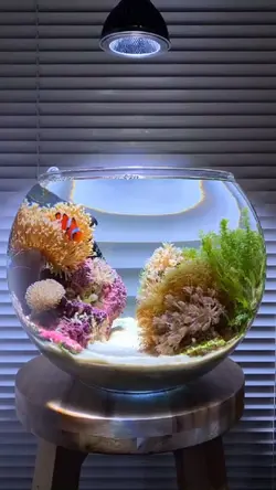 aquarium