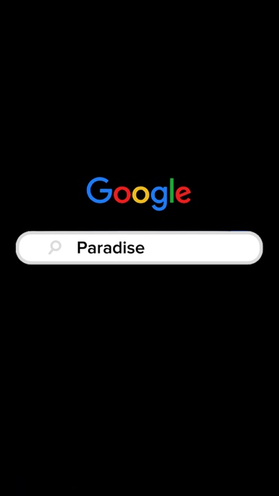 Interface Google