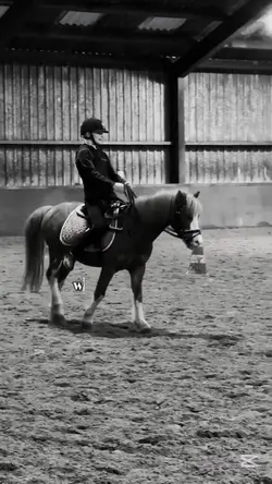 no place i rather be