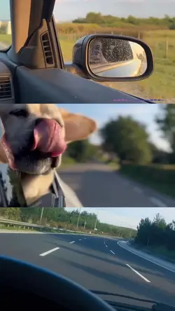 3 lü kolaj geldi