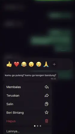 kamu ga pulang?