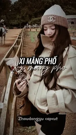 Xi Măng Phố 