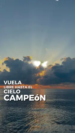 Descansa mi amor
