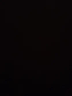 IL MIO CUORE