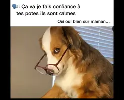 Ts potes sont calmes