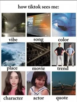 HOW TIKTOK SEES ME
