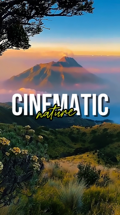 CINEMATIC NATURE