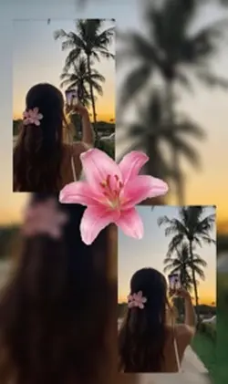 Été🏄‍♀️☀️🌺🌸❤️