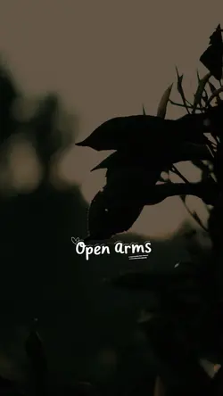 cinematic HD estetik