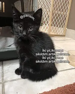 Artık gelsene.