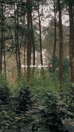 Aku dan alam