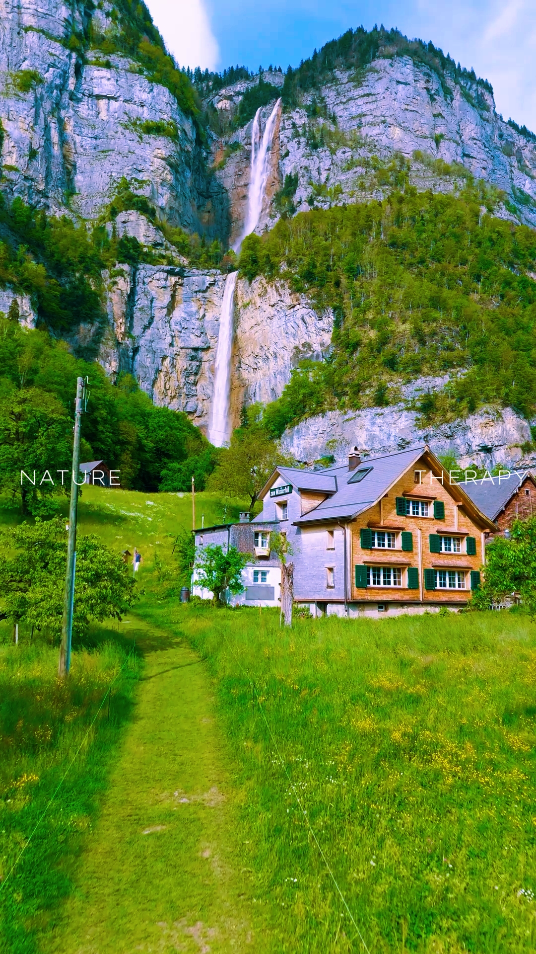 NATURE THERAPY
