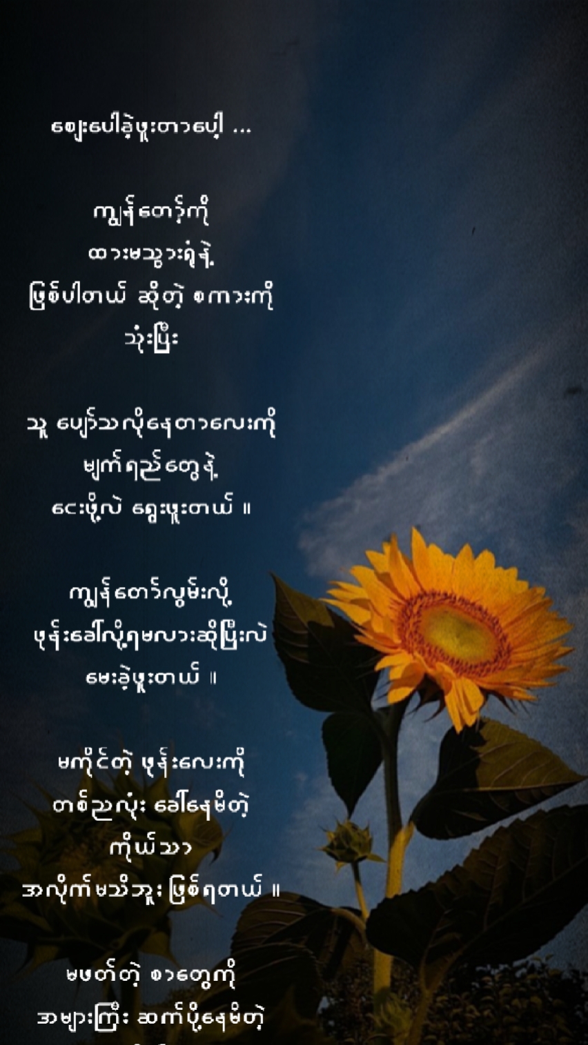 ဈေးပေါခဲ့ဖူးတာပေါ့
