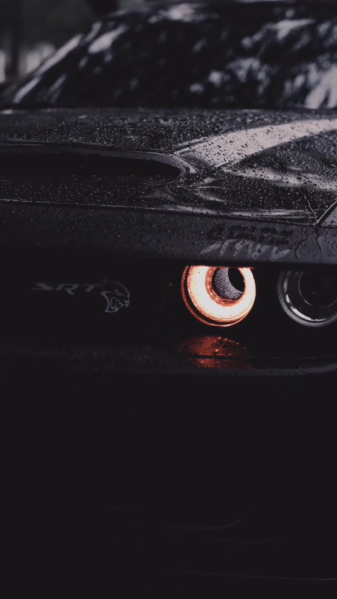 dodge template🏁