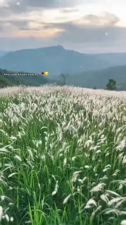 kho siab khuav xwb 