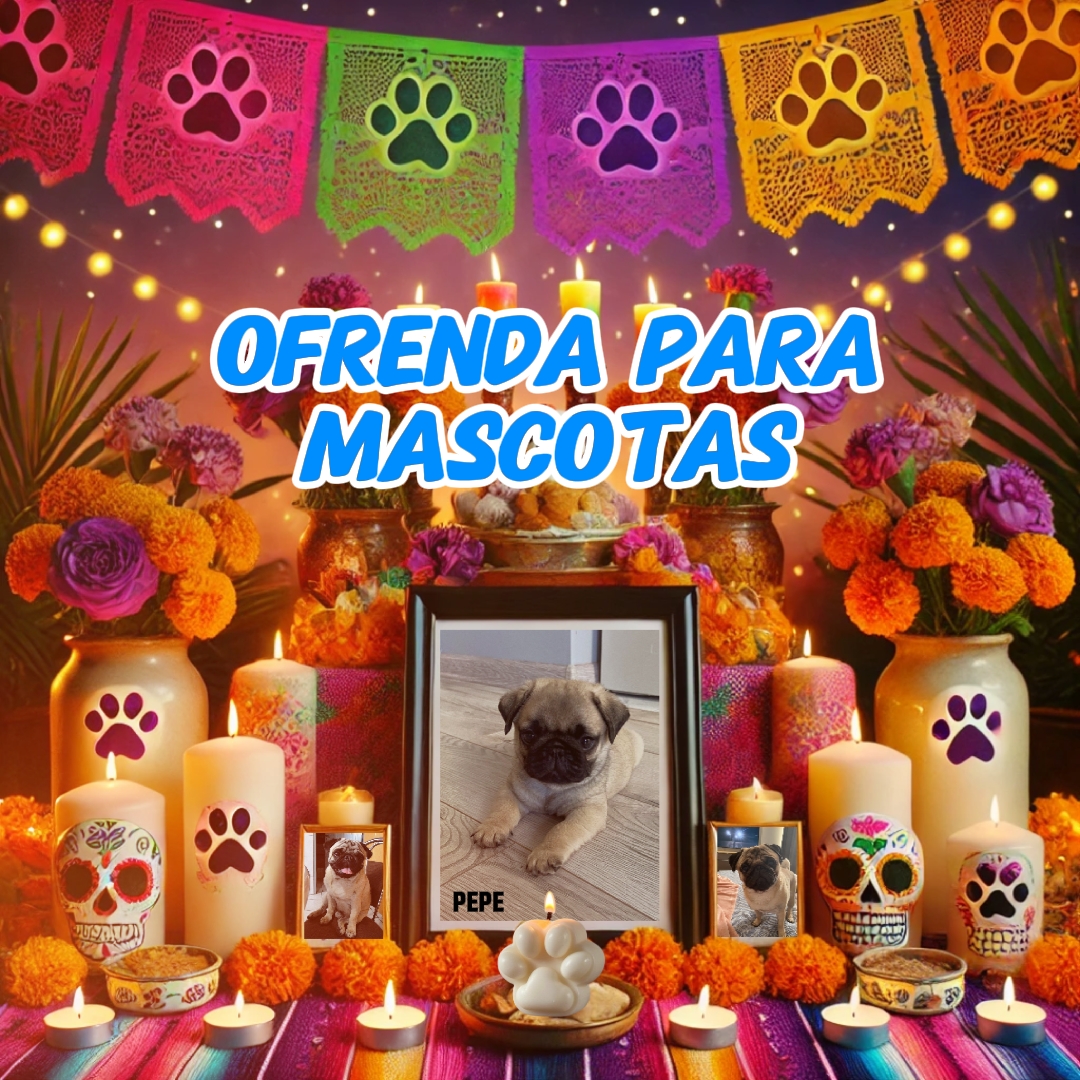 Ofrenda para mascota