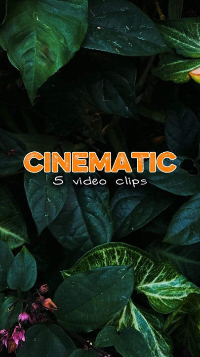 Cinematic 5 video