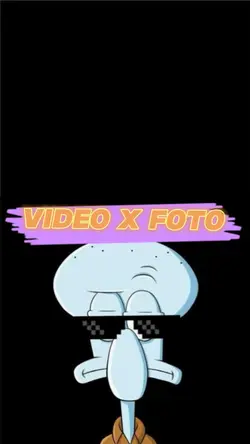 2 video 4 foto 