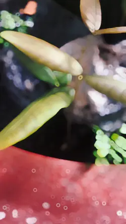 Thư giãn nhẹ nhàng 