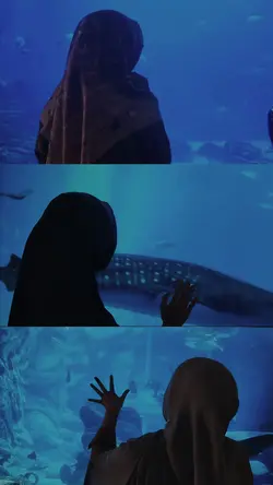 aquarium date