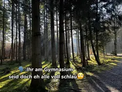 Gymnasien schlau?